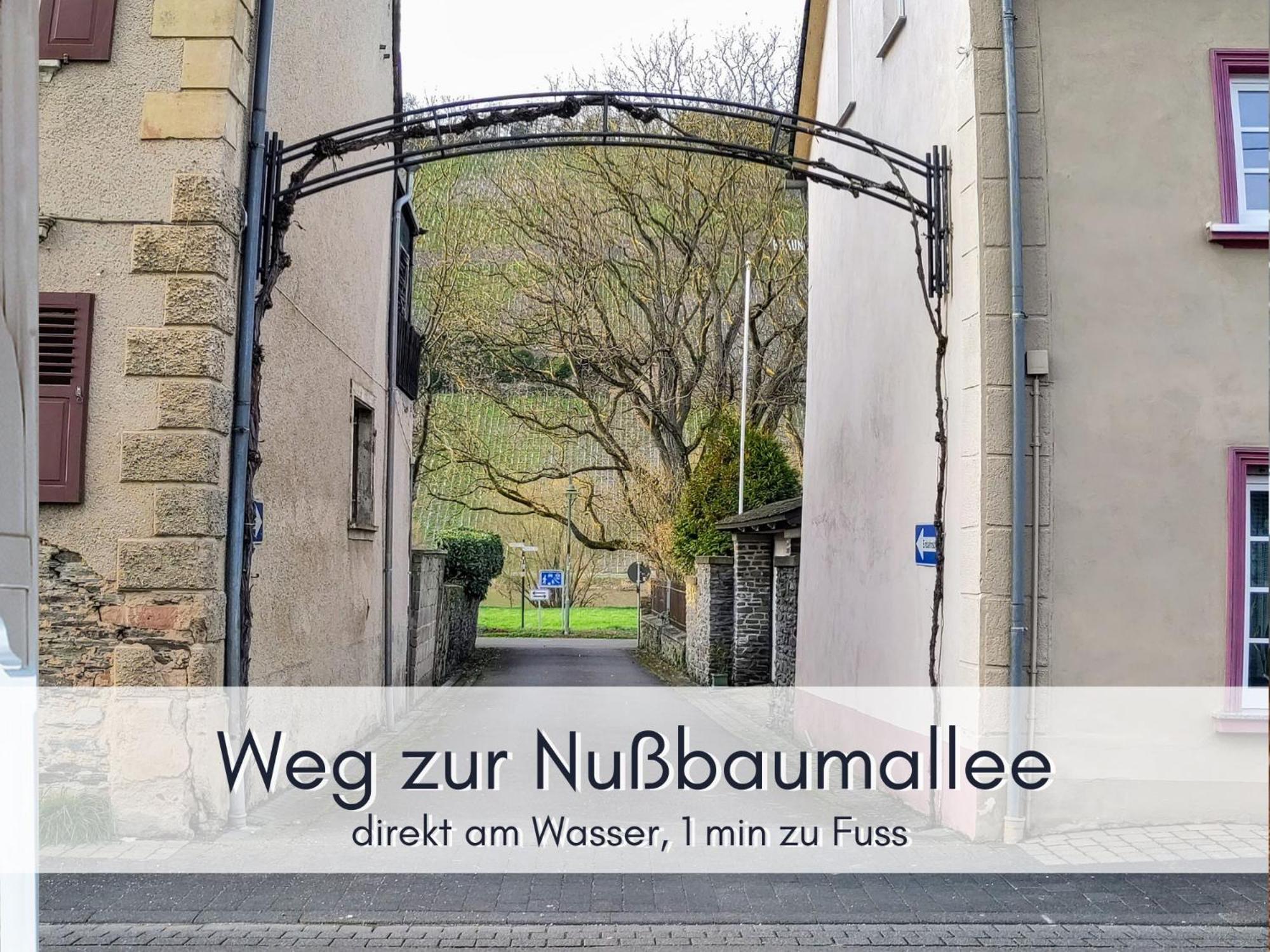 Komfort Fewo L Moselstay L Maximal 4 Personen Und Baby I Brauneberg Mosel I Wifi I Экстерьер фото