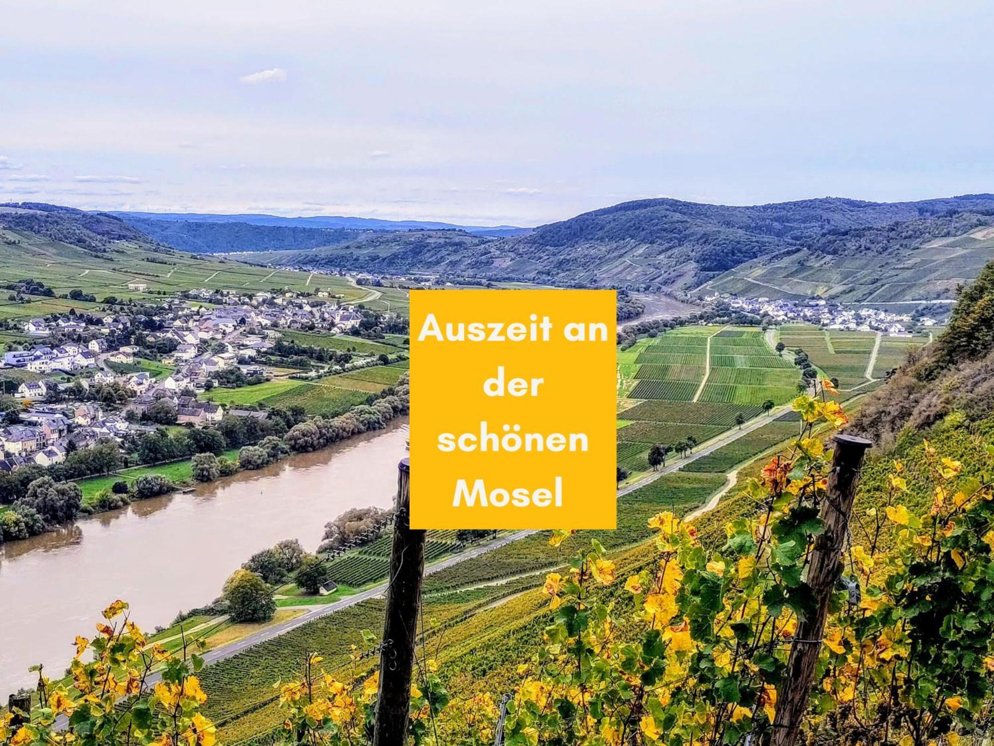Komfort Fewo L Moselstay L Maximal 4 Personen Und Baby I Brauneberg Mosel I Wifi I Экстерьер фото