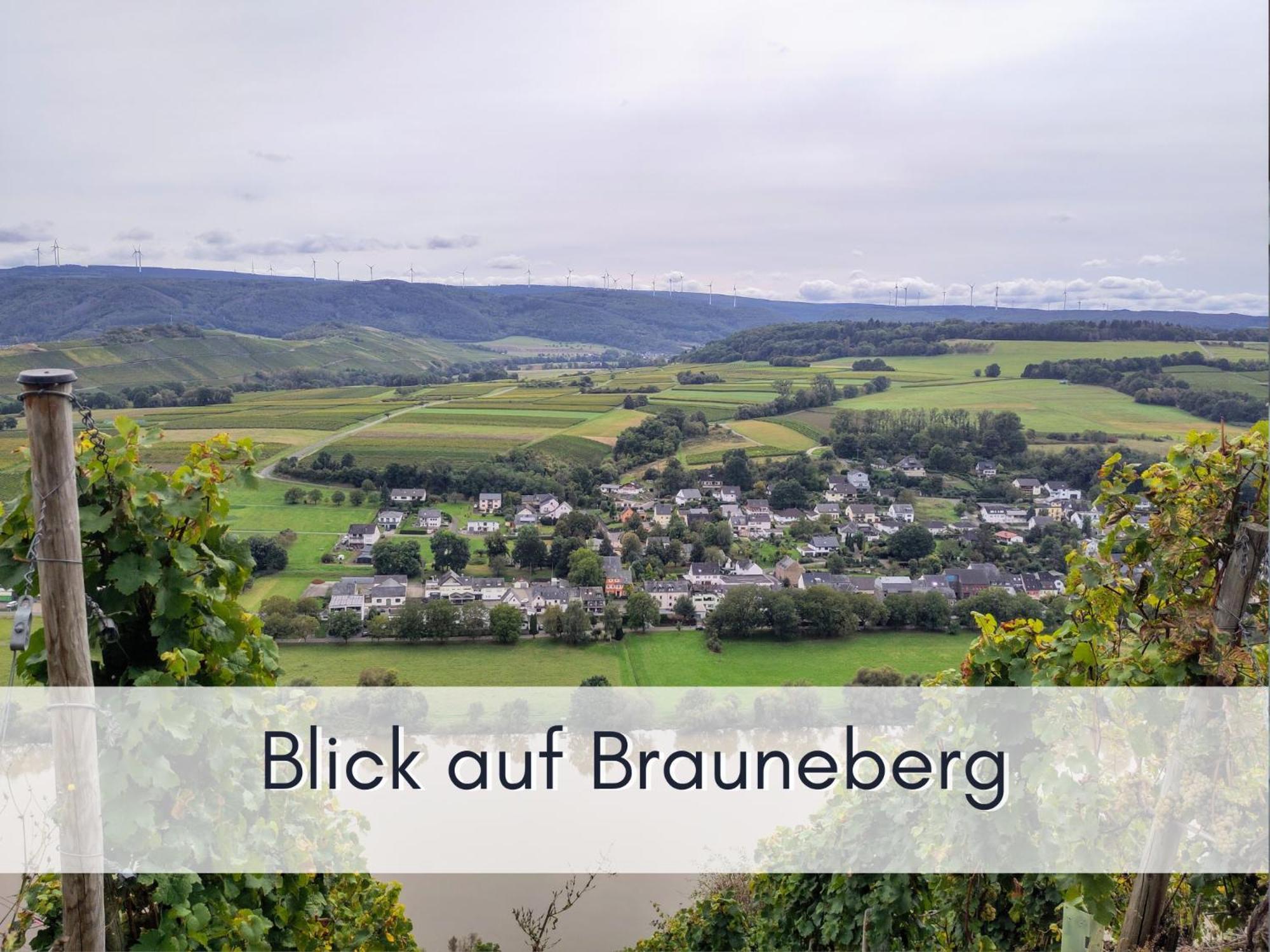 Komfort Fewo L Moselstay L Maximal 4 Personen Und Baby I Brauneberg Mosel I Wifi I Экстерьер фото