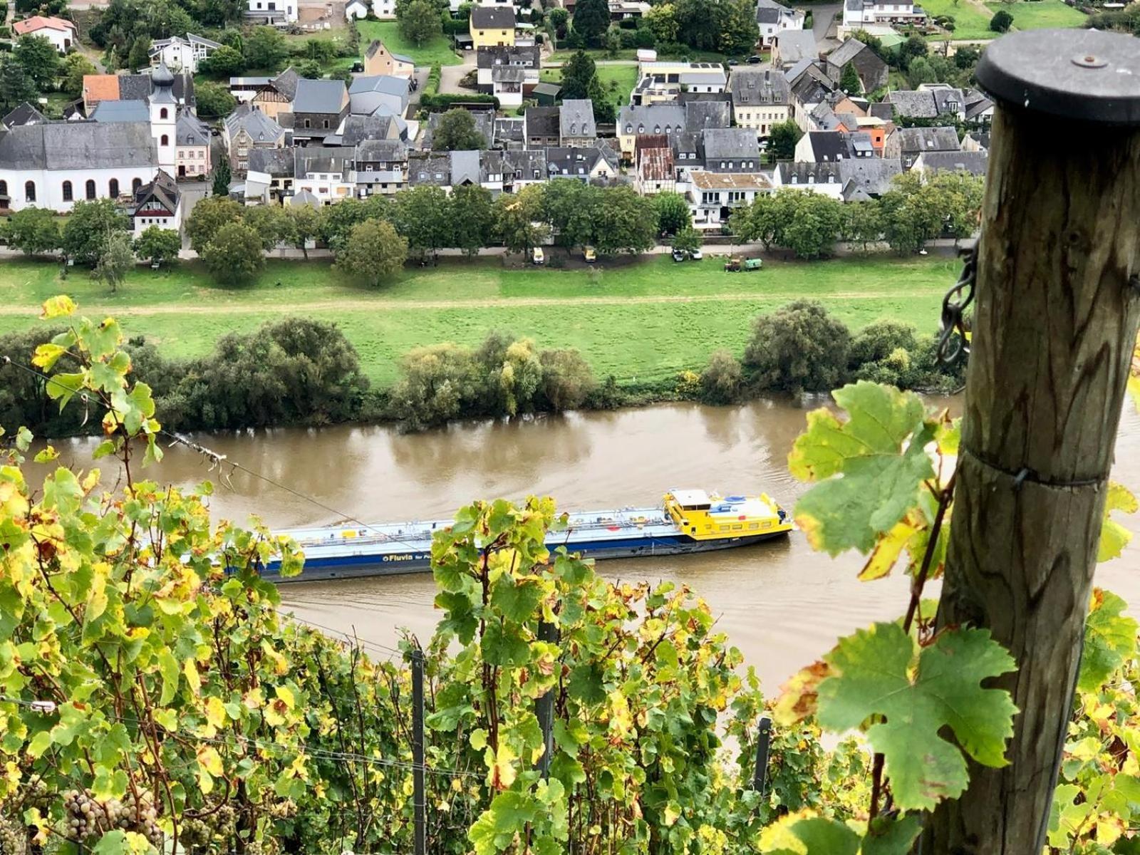 Komfort Fewo L Moselstay L Maximal 4 Personen Und Baby I Brauneberg Mosel I Wifi I Экстерьер фото
